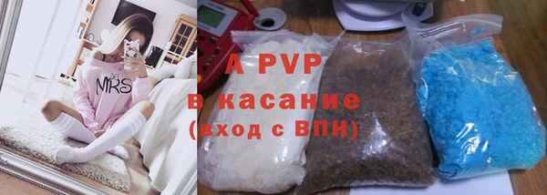 стафф Осинники