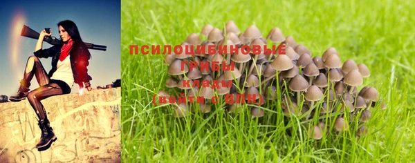 jwh Няндома