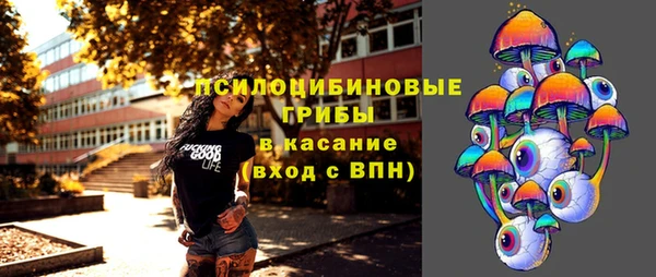 спайс Алзамай