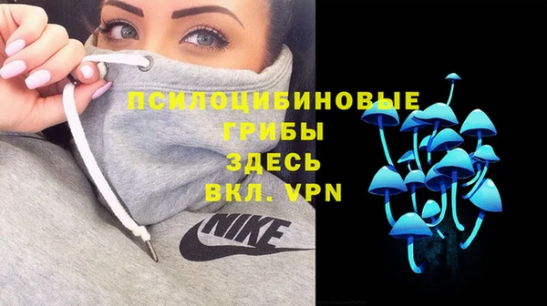 spice Александровское