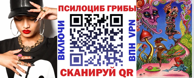 Псилоцибиновые грибы Psilocybine cubensis магазин продажи Северская